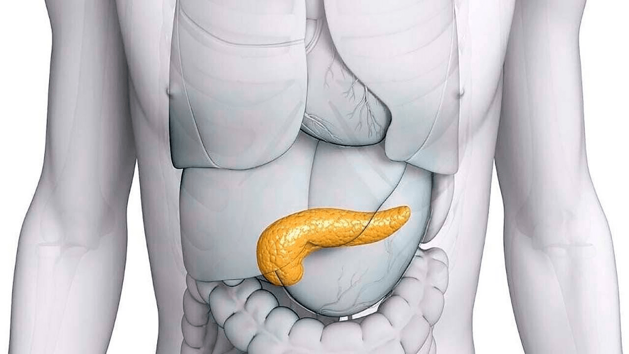 Glucoren aldıktan sonra sağlıklı pankreas